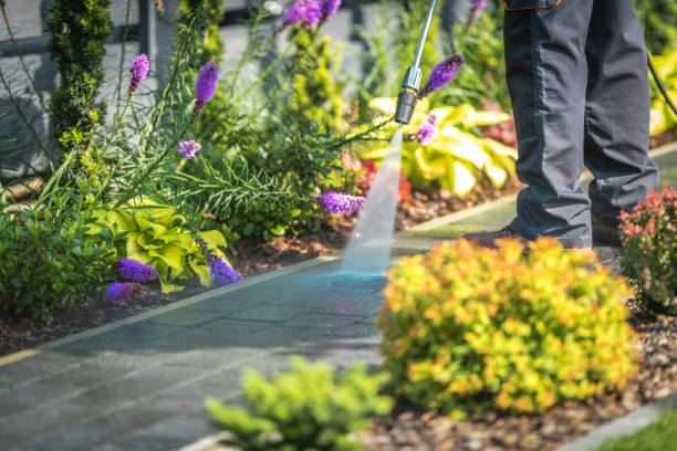 Reliable Lake Mohawk, NJ Pressure Washing Solutions